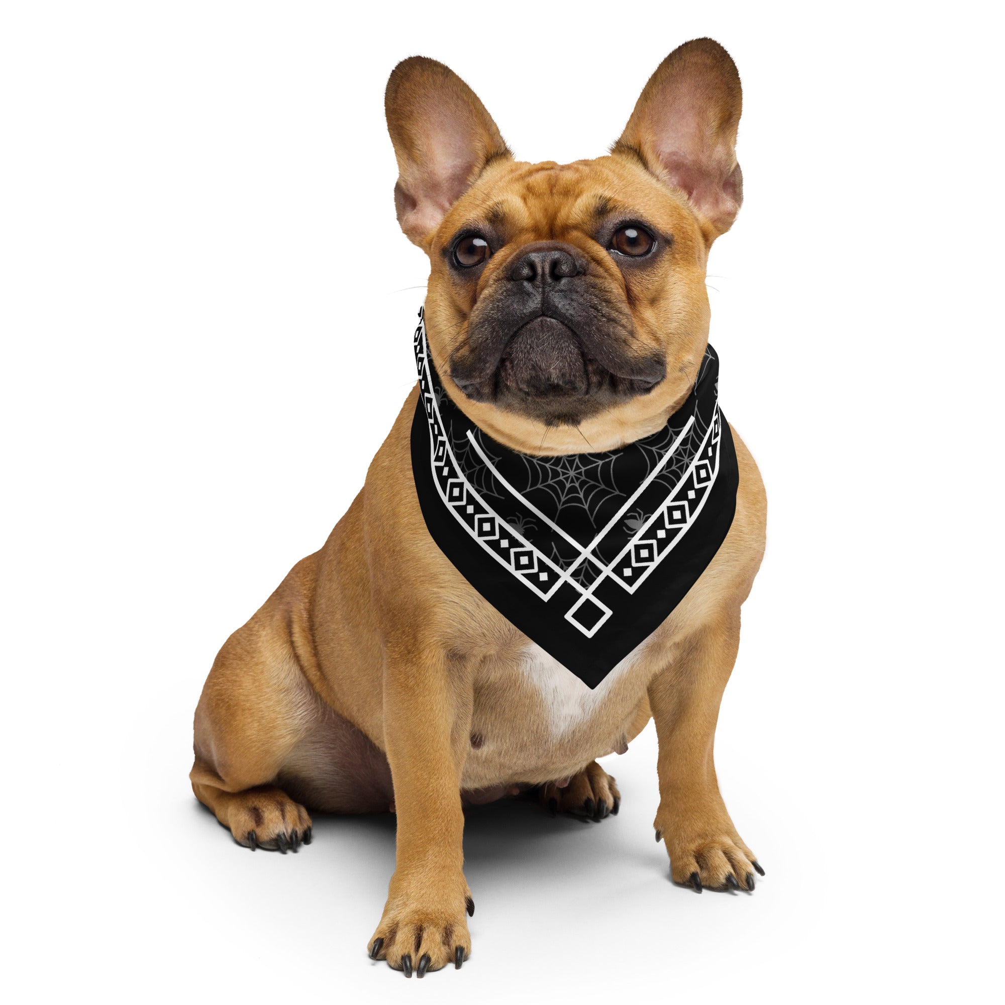 Bandana "Spider Skull" - The 66 Room